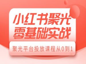 小红书聚光零基础实战，聚光平台投放课程从0到1-遨游资源库