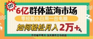 6亿群体蓝海市场,零经验小白用一台电脑,如何轻松月入过w【揭秘】-遨游资源库