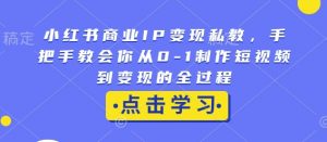 小红书商业IP变现私教，手把手教会你从0-1制作短视频到变现的全过程-遨游资源库