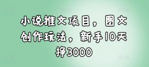 小说推文项目，图文创作玩法，新手10天挣3000-遨游资源库