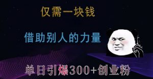 仅需一块钱，借助别人的力量，单日引爆300+创业粉、兼职粉【揭秘】-遨游资源库