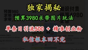 预算3980求带 图片玩法，单条日引流500+精准创业粉，私信根本回不完-遨游资源库