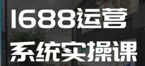 1688高阶运营系统实操课，快速掌握1688店铺运营的核心玩法-遨游资源库