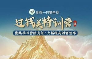 剽悍一只猫-过钱关特训营，学习营销真经 大幅度提高创富效率-遨游资源库