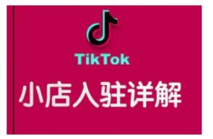 TikTok跨境小店运营全攻略，帮助你独立运营TK跨境小店的能力，实现销量增长-遨游资源库