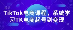 TikTok电商课程，​系统学习TK电商起号到变现-遨游资源库