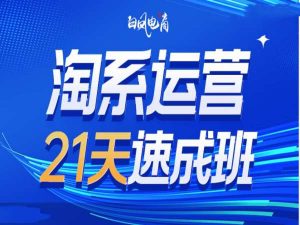 淘系运营21天速成班35期，年前最后一波和2025方向-遨游资源库