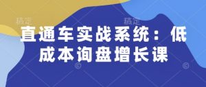 直通车实战系统：低成本询盘增长课，让个人通过技能实现升职加薪，让企业低成本获客，订单源源不断-遨游资源库
