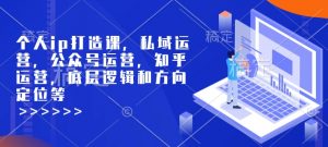 个人ip打造课，私域运营，公众号运营，知乎运营，底层逻辑和方向定位等-遨游资源库
