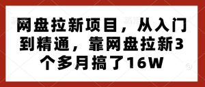网盘拉新项目，从入门到精通，靠网盘拉新3个多月搞了16W-遨游资源库