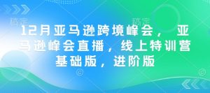 12月亚马逊跨境峰会， 亚马逊峰会直播，线上特训营基础版，进阶版-遨游资源库