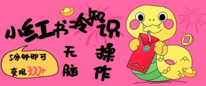 小红书冷知识账号,无脑复制粘贴,5分钟即可变现3张-遨游资源库