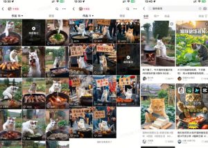 最近很火的爆款猫咪做饭视频拆解，小白一周涨粉2万，单条10万+播放(附保姆级教程)-遨游资源库