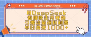 用DeepSeek做哪吒走秀视频，引爆流量涨粉利器，单日变现1k-遨游资源库