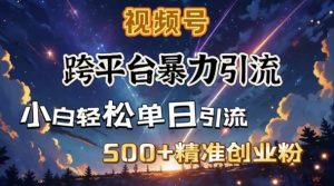跨平台暴力引流，私域完美闭环，日引500+精准创业粉-遨游资源库