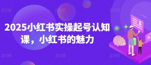 2025小红书实操起号认知课，小红书的魅力-遨游资源库