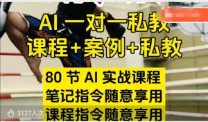 AI指令实战课，课程+案例，80节AI实战课程，笔记指令随意享用，课程指令随意享用-遨游资源库