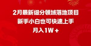 2月最新细分领域落地项目，新手小白也可快速上手，月入1W-遨游资源库