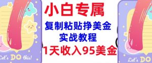 复制粘贴挣美金，0门槛，1天收入95美刀，3分钟学会，内部教程(首次公开)-遨游资源库