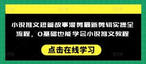 小说推文短篇故事混剪最新剪辑实操全流程，0基础也能学会小说推文教程，肯干多发日入多张-遨游资源库