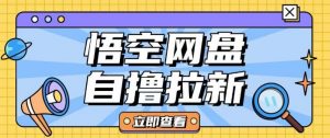 全网首发悟空网盘云真机自撸拉新项目玩法单机可挣10.20不等-遨游资源库