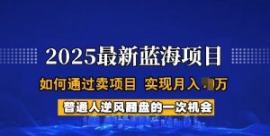 2025蓝海项目，普通人如何通过卖项目，实现月入过W，全过程【揭秘】-遨游资源库