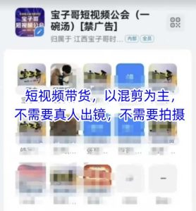 宝子哥头部团队短视频带货，以混剪为主，不需要真人出镜，不需要拍摄【更新11月】-遨游资源库