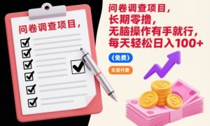 问卷调查项目，长期零撸，无脑操作有手就行，每天轻松日入100+【揭秘】-遨游资源库