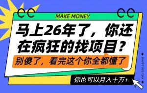 26年了,不要再疯狂的找项目了,看完这个你也可以月入十个W【揭秘】-遨游资源库