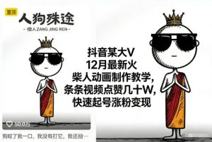 抖音某大V12月最新火柴人动画制作教学,条条视频点赞几十W,快速起号涨粉变现-遨游资源库