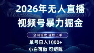 2026最新视频号无人直播掘金，全网首发，小白可以玩，长期稳定日入1k+【揭秘】-遨游资源库