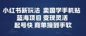 小红书新玩法，卖国学手机贴，蓝海项目，变现灵活，起号快，商单接到手软-遨游资源库