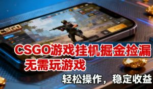 CSGO游戏挂G掘金捡漏，不需要玩游戏，操作简单，收益稳定【揭秘】-遨游资源库
