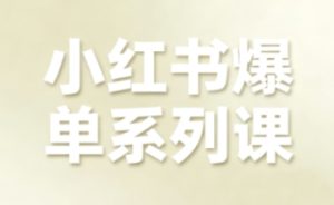 小红书爆单系列课，聚焦小红书电商全链路增长（更新）-遨游资源库
