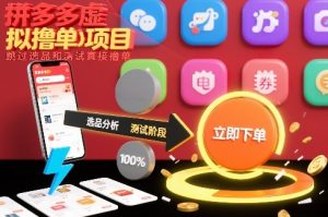拼多多虚拟撸单项目，跳过选品和测试直接撸单-遨游资源库