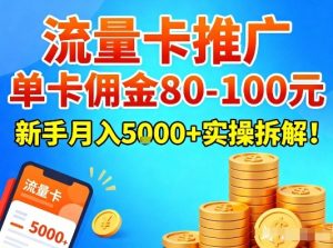 流量卡推广，单卡佣金80-100，新手月入5k+实操拆解！-遨游资源库