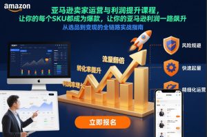 亚马逊卖家运营与利润提升课程，让你的每个SKU都成为爆款，让你的亚马逊利润一路飙升（更新12月）-遨游资源库
