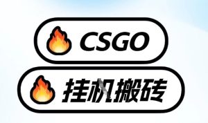 真全网独家CSGO挂G，最新玩法,单日捡漏1K+，不用电脑，不用打游戏【揭秘】-遨游资源库