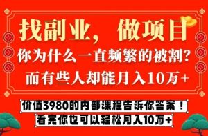 价值3980的网创内部课程，告诉你互联网创业月入10个W的秘密【揭秘】-遨游资源库