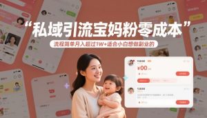 私域引流宝妈粉零成本流程简单月入超过1W+适合小白想做副业的-遨游资源库