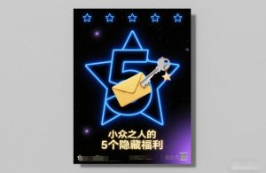 付费文章：小众之人的5个隐藏福利-遨游资源库