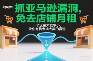 抓亚马逊漏洞，免去店铺月租，一个流量大竞争小，让你有机会成大卖的赛道-遨游资源库