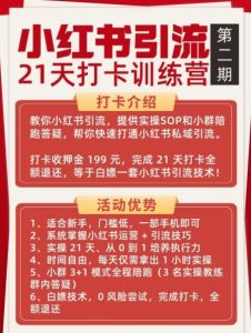 小红书引流21天打卡训练营第二期，助你快速打通小红书私域引流打粉-遨游资源库