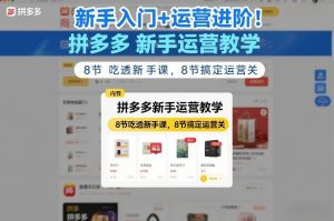 新手入门+运营进阶！拼多多新手运营教学，8节吃透新手课，8节搞定运营关-遨游资源库