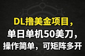 DL撸美金项目,单日单机50美刀,操作简单,可矩阵多开-遨游资源库