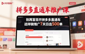 拼多多直通车推广课,别再盲目开拼多多直通车,这样做推广7天日出500单-遨游资源库