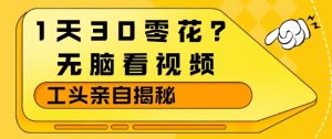 1天30零花？无脑看视频，大佬亲自揭秘-遨游资源库