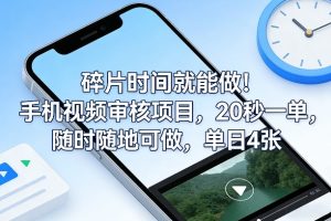 碎片时间就能做!手机视频审核项目,20秒一单,随时随地可做,单日4张+【揭秘】-遨游资源库