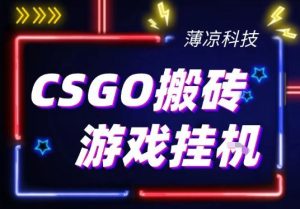 CSGO游戏挂G游戏搬砖最新升级，普通小白一部手机可日入3张+当天见结果，支持验证【揭秘】-遨游资源库