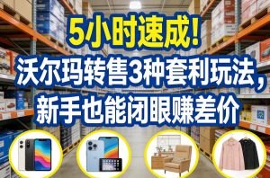 5小时速成！沃尔玛转售3种套利玩法，新手也能闭眼賺差价-遨游资源库